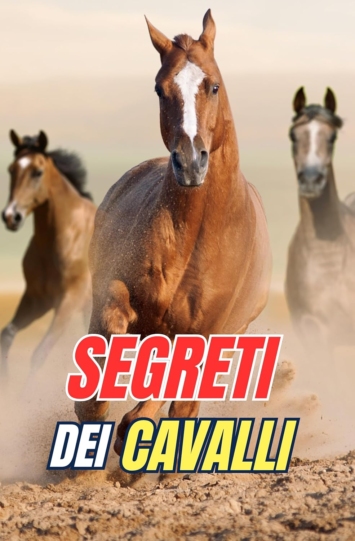 Segreti dei Cavalli: Scopri i Misteri e le Meraviglie del Mondo Equino