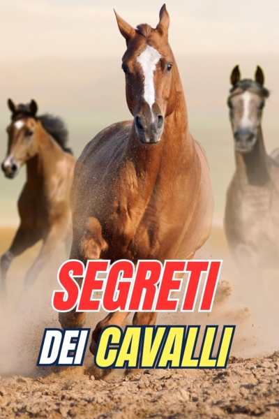 Segreti dei Cavalli: Scopri i Misteri e le Meraviglie del Mondo Equino