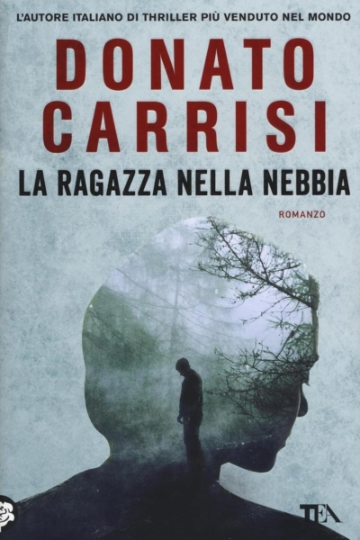 La ragazza nella nebbia