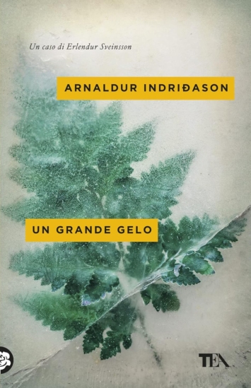 Un grande gelo. I casi dell'ispettore Erlendur Sveinsson (Vol. 5)