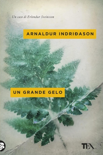 Un grande gelo. I casi dell'ispettore Erlendur Sveinsson (Vol. 5)